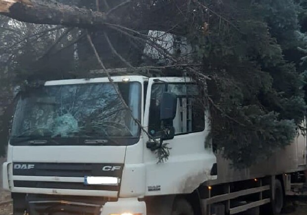 В Запорожье фура снесла дерево и вылетела на трамвайные пути. Фото: патрульная полиция Запорожья