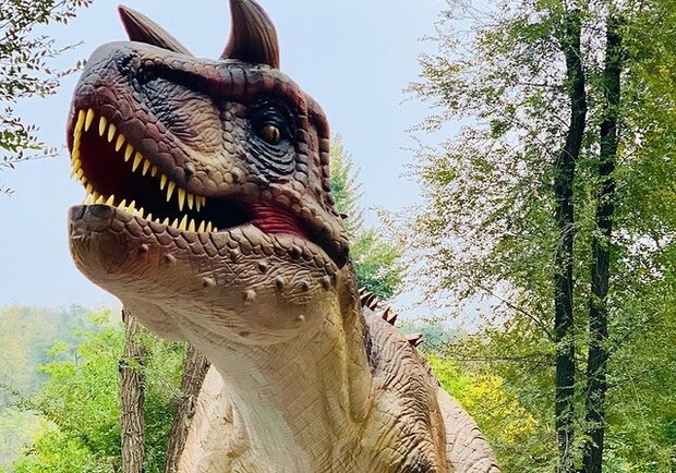 Интересненько: в Дубовке появится парк динозавров - фото @dinopark_dnipro
