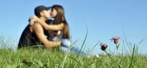 Не надо стесняться: на Радуге пара занималась любовью прямо на лужайке (видео)