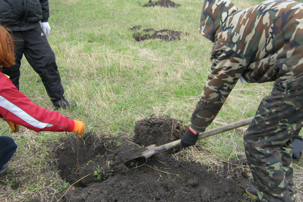 Запорожцы создают парк своими руками.
Фото vgorode.ua