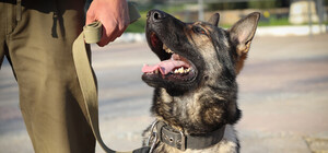 Виставили охорону: на Лукасевича знайшли небезпечний предмет 