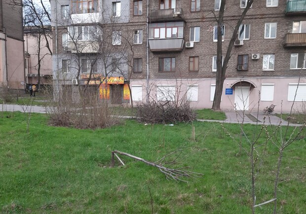 В сквере Яланского снова сломали молодые деревья. Фото: "Запоріжжя NOW"