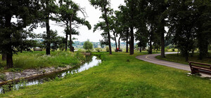 Ни себе, ни людям: в Буче реку засыпали мусором и опасными химикатами