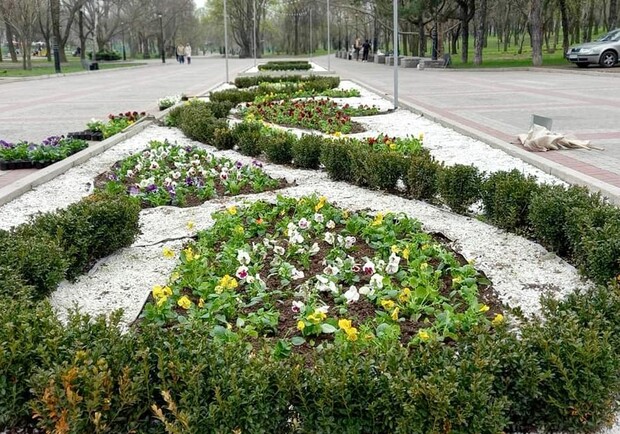 В парке Трудовой Славы высадили тысячи цветов. Фото: fb Зеленстрой
