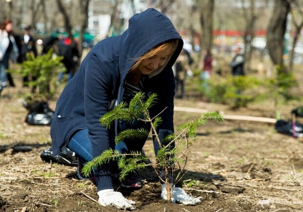 Запорожцы хотят высадить новые деревья в сквере Яланского. Фото: Getty Images