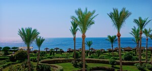 Закроют даже пляжи и парки: в Египте ввели жесткий карантин 