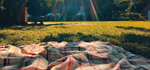 Ближе к природе: где в Киеве можно устраивать пикники 