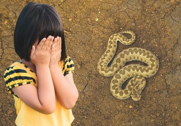Не сделали заявку: в Энергодаре, где змея укусила 6-летнюю девочку, нет сывороток. Фото: АиФ
