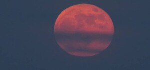 Редкое явление: в небе над Одессой наблюдали суперлуние