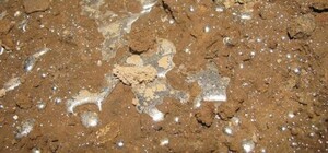 Опасное соседство: на территории бывшего завода 