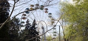 Под залог: задержанный замдиректор 