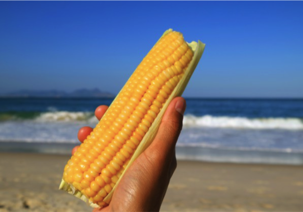 Что почем: на пляжах Кирилловки уже продают кукурузу - фото