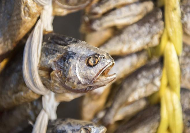Поели вяленой рыбки: в Запорожье пара попала в реанимацию с ботулизмом. Фото: gettyimages