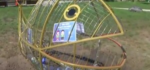 Ищи рыбку: на киевских пляжах устанавливают необычные контейнеры для мусора