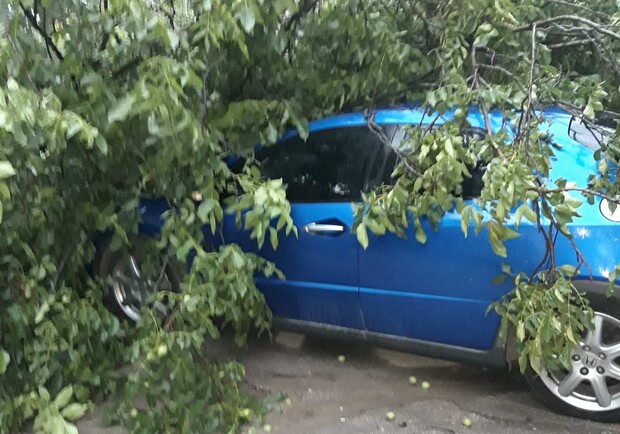 На авто падают деревья, а на дорогах – реки: последствия непогоды в Запорожье  - фото жильцов Школьной,7