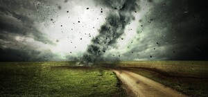 Последствия урагана: из-за падений деревьев в Киевской области погибли два человека 