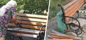 Объявила войну посиделкам: на Дарнице пожилая женщина испортила скамейки