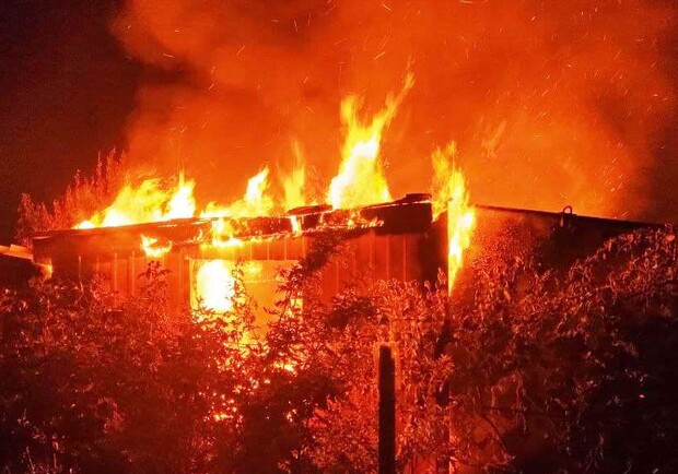 На запорожском курорте произошел пожар - фото: ГСЧС