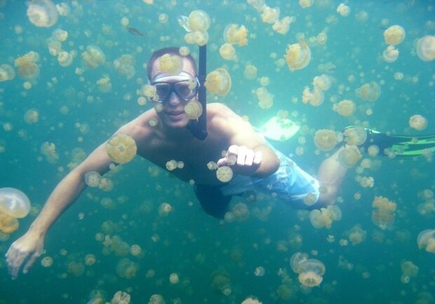 В Кирилловку вернулись медузы. Фото: pikabu
