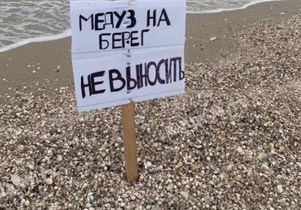 В Кирилловке просят не делать "медузовые свалки" - фото: РИА-М
