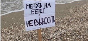 Жутко воняют: в Кирилловке просят не делать 