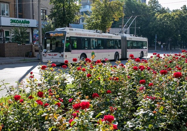 В Запорожье два месяца не будет ходить популярный троллейбус - фото: мэрия