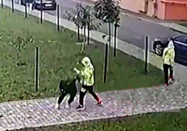 Проверят психику: близнецов из Ровно подозревают в нападении из-за компьютерных игр