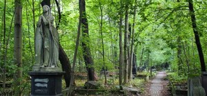 Лихий попутав: у селі біля Львова чоловік розкопав могилу на цвинтарі 