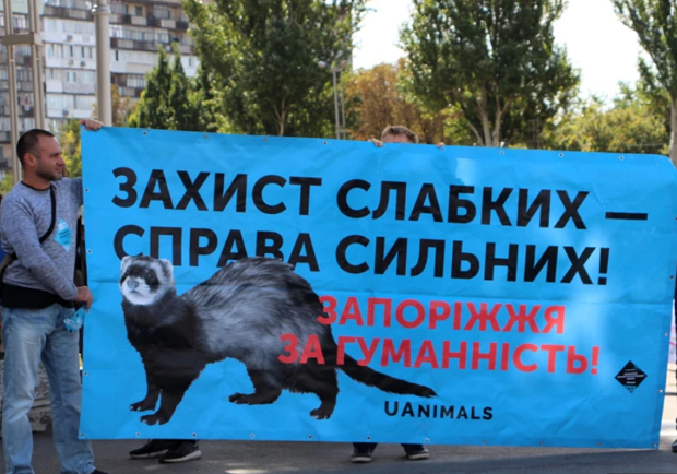 За права животных: в Запорожье прошла зоозащитная акция - фото: radiosvoboda.org