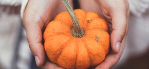 Осень в разгаре: куда пойти в Харькове в октябре