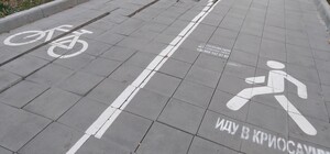 Разбитая плитка, трещины и заросли: как сейчас выглядит Трасса здоровья