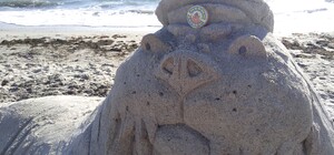 Три тонны песка: на Ланжероне создали самую большую скульптуру моржа