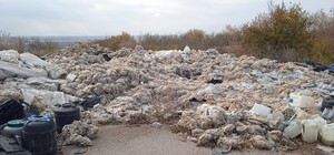 Бинты с кровью и ртуть: под Запорожьем обнаружили свалку с опасными отходами