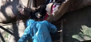 Аква из КГБ: одесситку с лестницей на балконе забрали в психдиспансер