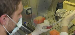 В Запорожье закрыто ряд общепитов, 