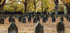 В Одесской области назвали пять основных причин смертности: без Covid-19 не обошлось