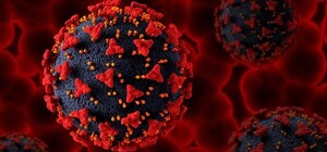 В Днепре обнаружили новый вариант штамма 