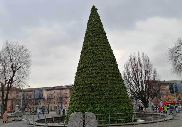 В Запорожье на площади Маяковского установили главную елку города. 