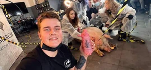 В Киеве в тату-салон привели свинью, чтобы сделать ей огромную татуировку