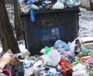 Запорожцам и Александру Сину надоел мусор около контейнеров.
Фото vgorode.ua