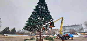 На площади Фестивальной устанавливают главную елку области (фото)