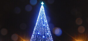 В Запорожье на площади Фестивальной открыли главную елку области