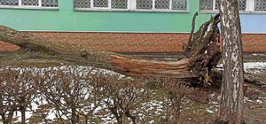 На выходных в Киеве зафиксировали рекордную скорость шквального ветра