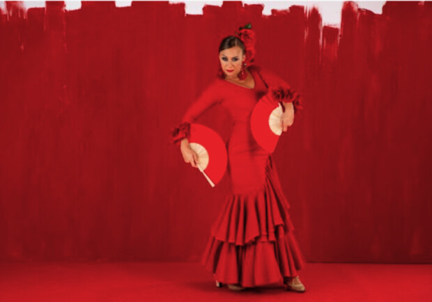 Flamenco Show 