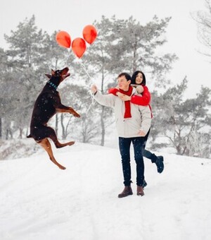 Живая музыка в соборе и концерт Dantes: куда пойти в Одессе на этих выходных 