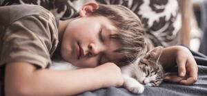 Как в Украине усыновить или приютить ребенка во время войны