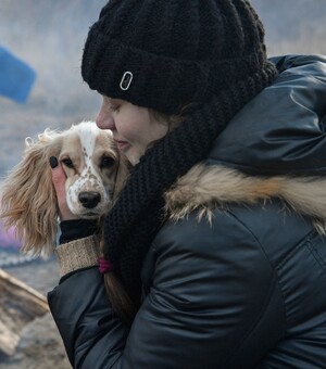 Как ухаживать, перевозить и кормить животных во время войны