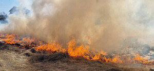 Є відповідь: скільки диверсантів загинуло на Львівщині через спалювання сухої трави