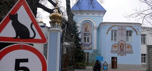 В одесском монастыре помогают котам-беженцам (фото)