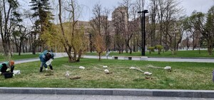 На площади Свободы высадили саженцы, которые послала пенсионерка с запада Украины